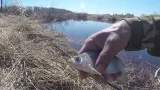 Можно ли ловить рыбу на не отгруженный поплавок, видео rybachil.ru