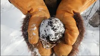 How to Brew Chaga, King of Medicinal Mushrooms