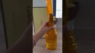 Мысль дня 25.08.2024 #238