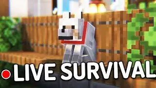 MODDED MINECRAFT Low-Key Survival 