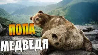 СНИМКА ЧЕРЕЗ ТЕЛЕФОН | УГАР ПОПА МЕДВЕДЯ