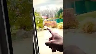 Five Nights at Freddy’s | outside my window… 