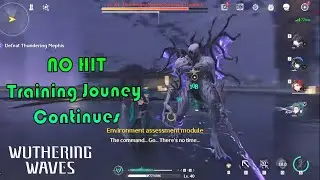 [Wuthering Waves] No Hit Training Journey