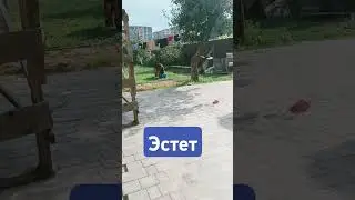 28 июля 2024 г.
