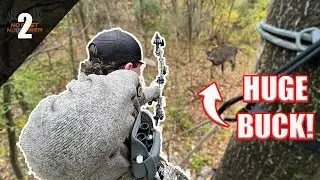 Bowhunting for a 155