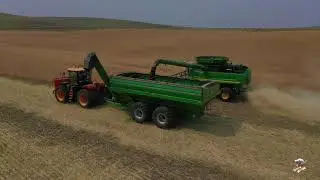 North Dakota Canola Harvest near Hettinger