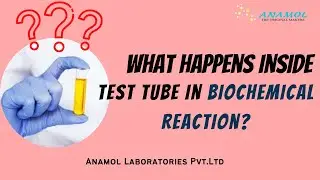 What Happens Inside a Test Tube In Biochemical Reaction? How To Read Graphs By Instrument - English