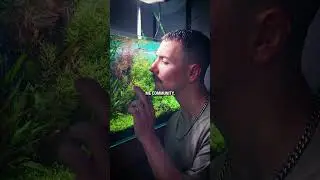 Bro it’s just an aquarium 