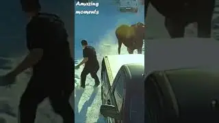 Wow! MOOSE ATTACKED MAN! #shorts #moose #attack #man