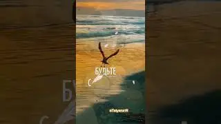 Добрый вечер!                         1июля. 