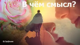 В чём смысл - Вадим Странник