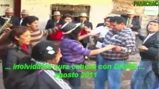 PALLA ALISINA - inolvidable cura cabeza
