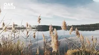 [No Copyright Music] Sonhe - Relaxing Acoustic Folk I Background Music