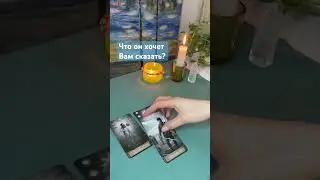 Что он хочет Вам сказать? 