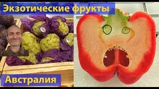Экзотические фрукты и овощи в Австралии. (видео 191)