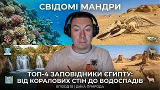 Топ-4 заповідники Єгипту: Від коралових стін до водоспадів
