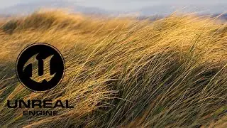 Directional controllable grass wind in Unreal engine 5