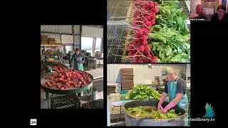Q&A with Stoneledge Farm CSA