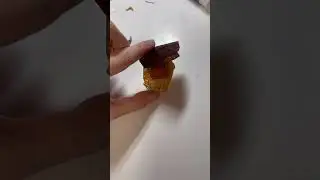 Нагетс проснувся