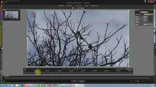 Pinnacle Studio 20 PAN AND ZOOM