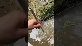 Making Swamp Water Drinkable