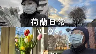 JAN VLOG 荷蘭日常｜荷蘭超市必買、野餐、買鬱金香、房間小改造