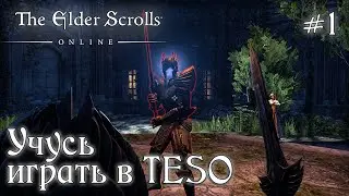 УЧУСЬ ИГРАТЬ В TESO ✅TESO✅ #1