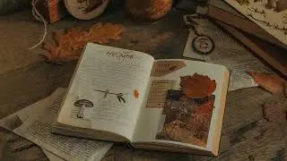 a classical music for reading, writing and studying ✒️📖 ( dark academia )