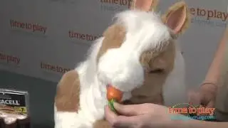 Интерактивная малышка пони Батерскоч FurReal Friends Hasbro