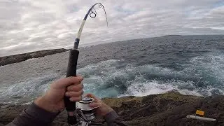 Rock Fishing Australia for Monster Blue Groper