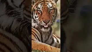 #вселенная ,,