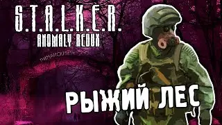 РЫЖИЙ ЛЕС / ПРОХОЖДЕНИЕ S.T.A.L.K.E.R. ANOMALY REDUX