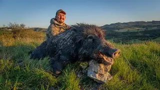 Chasing California Pigs with the Taurus Raging Hunter