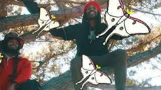 Psilocybin (feat. Brotha Peace)