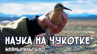 Science in Chukotka. Meynypilgyno.