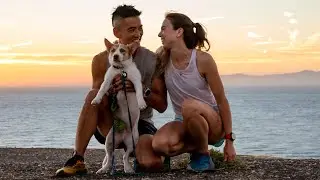 We Found And Adopted A Stray Puppy | Meet Charlie (Salami).