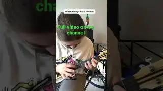Electric ukulele eruption by Van Halen