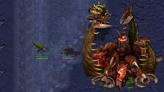 HIVE TECH Zerg vs Zerg !!!