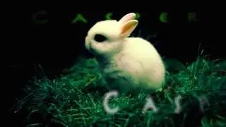 After Effects - Motion Tracking w/Text Compositing