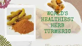 World's Healthiest Herb Turmeric