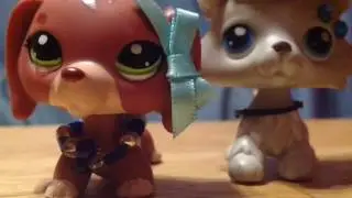 LPS MV I Hate You I Love You