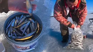 Crazy smelt bite! Lake Izmenchivoe Sakhalin