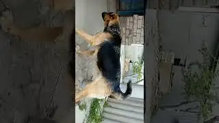 Линда❤