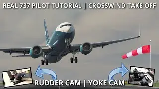 Real 737 Pilot | Crosswind Take Off Tutorial | ZIBO MOD 737NG