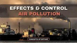 Air Pollution Effects, Control & Prevention| Hindi/ Urdu| Concepts of Botany #airpollution