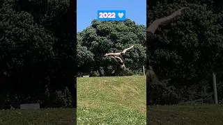Which of My Back Aerial Do You like? Blonde, Red, or Blue?🤍❤️💙#acrobatics #transformation #challenge