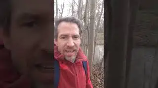 Steigt die Hochwassergefahr in Braunschweig? #hochwasser #natur #viral