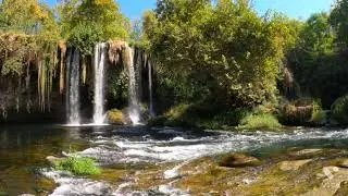 nature sounds copyright free music// CREATIVE CUMMONS //