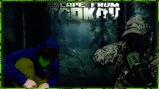 Scav on Scav violence needs to end!!! LOL
