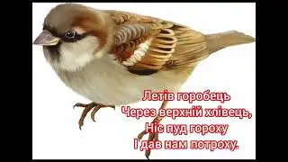 ЦРД «Веселка» ЗМР Чистомовки